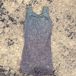 Amazon Kids Blue and Purple Leotard